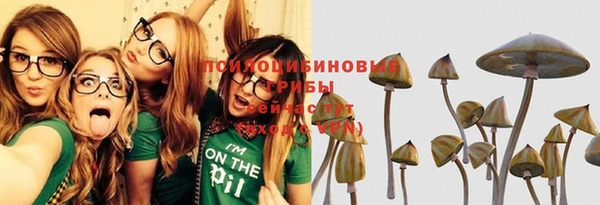 гидропоника Арсеньев