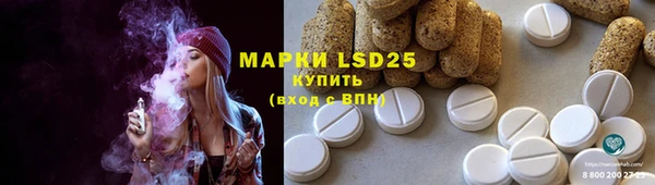 прущие грибы Балахна