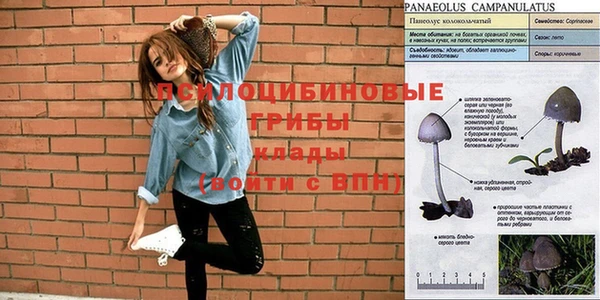дмт Армянск