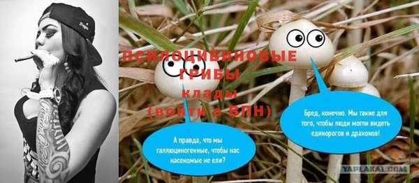 дмт Армянск