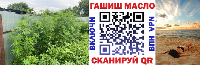 Купить закладки Зеленоградск Дистиллят ТГК вейп