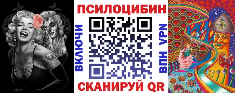 Купить закладки  Зеленоградск  Псилоцибиновые грибы Magic Shrooms 